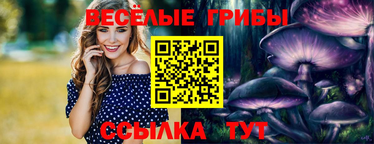 Псилоцибиновые грибы GOLDEN TEACHER  Вход с VPN  Черкесск  Галлюциногенные грибы Psilocybe 